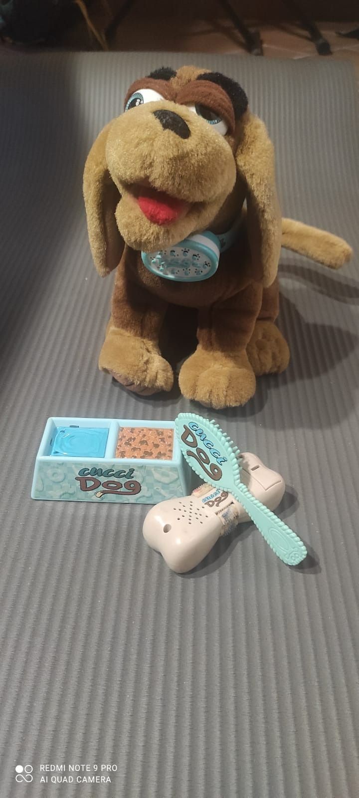 Cucci Dog completo image 1